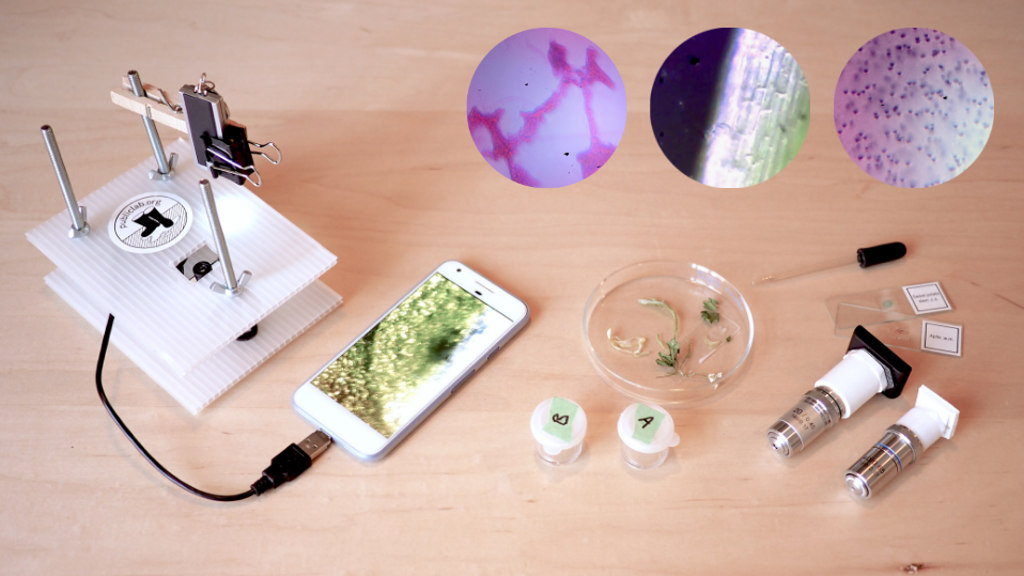 negative refrigerator salad 🎈 Public Lab: Microscopes